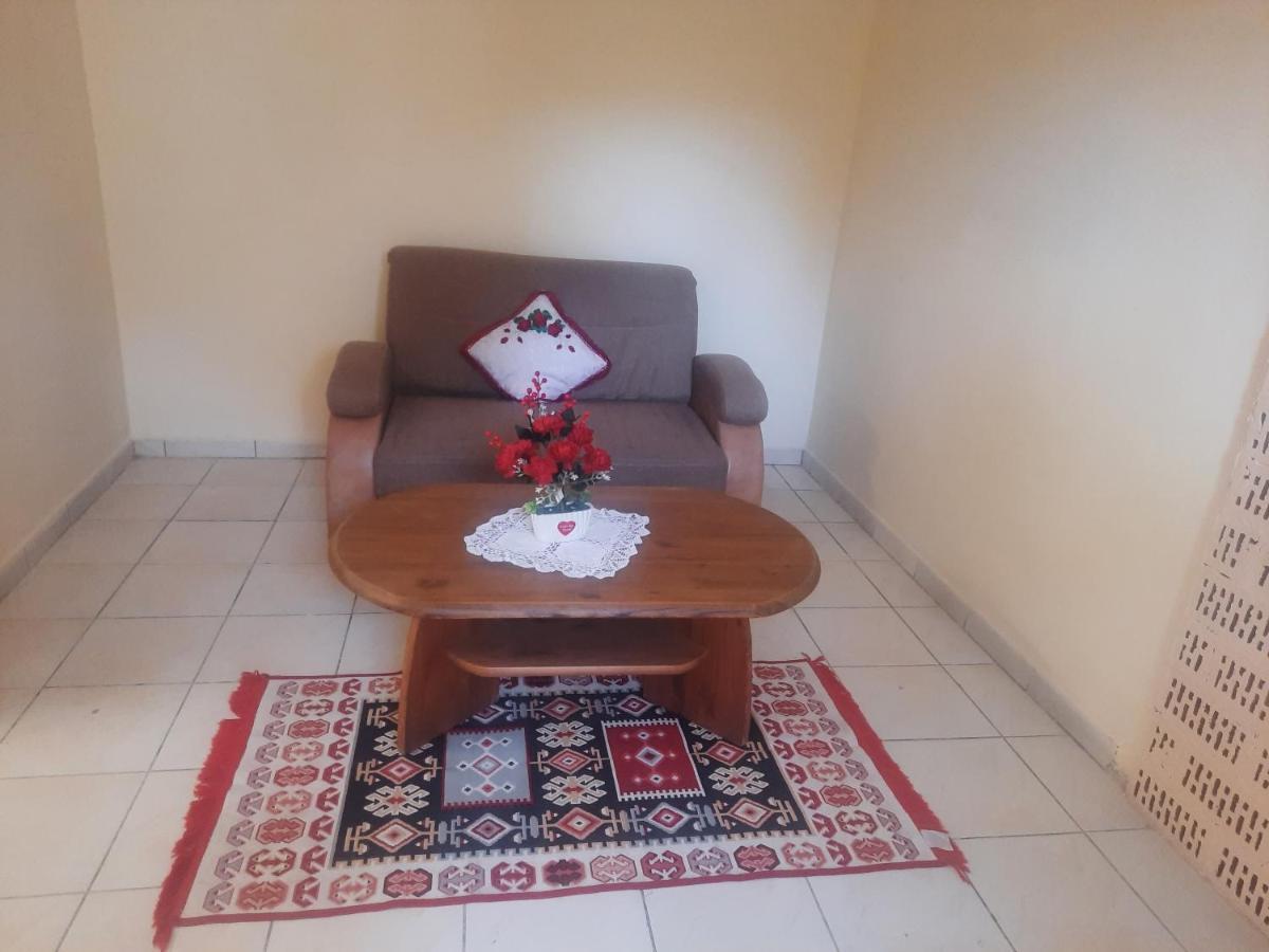 Apartament Pe Malul Raului Bega 티미쇼아라 외부 사진