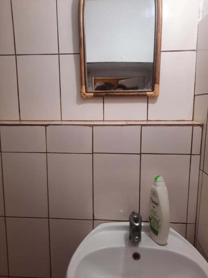 Apartament Pe Malul Raului Bega 티미쇼아라 외부 사진