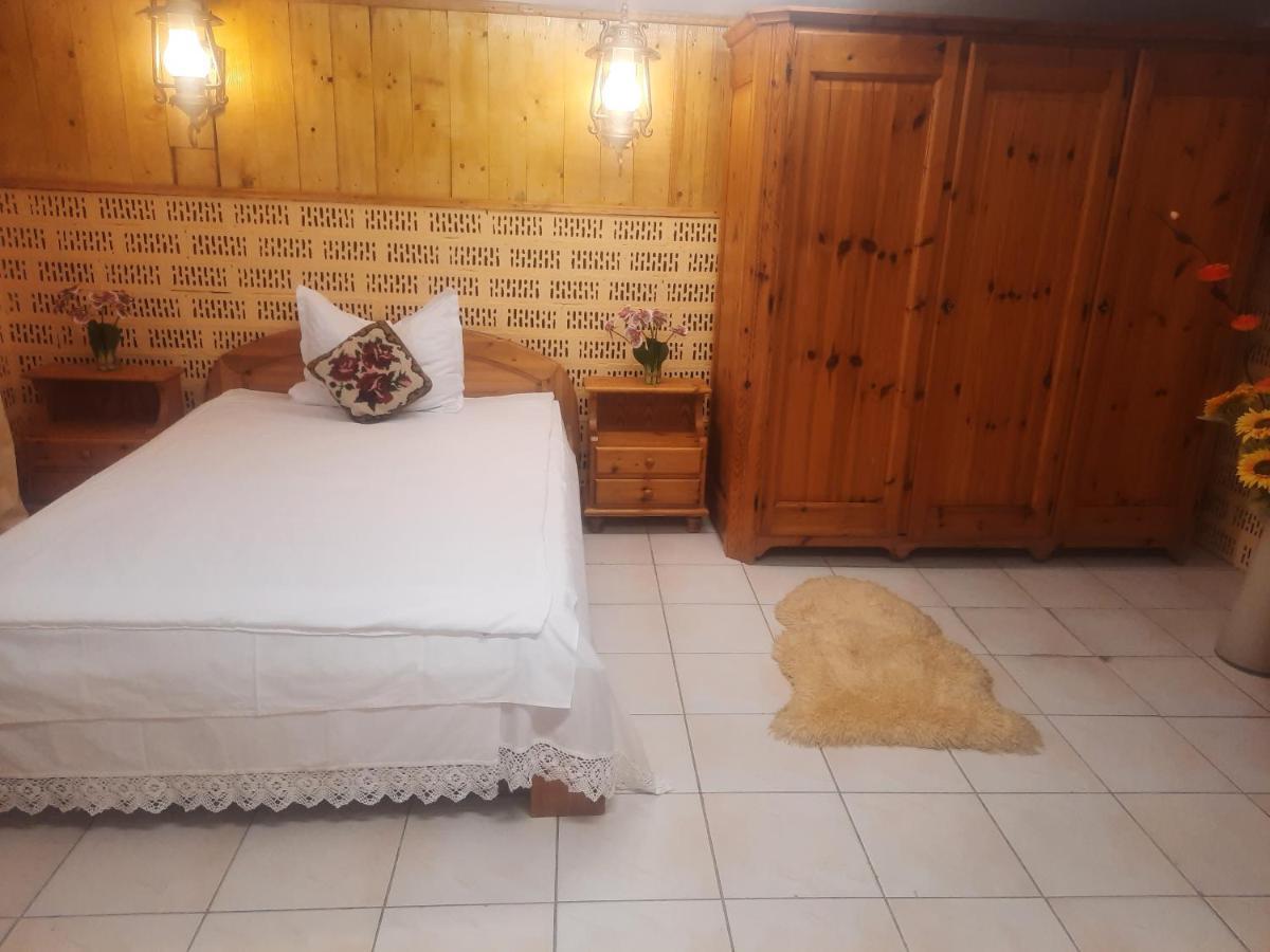Apartament Pe Malul Raului Bega 티미쇼아라 외부 사진